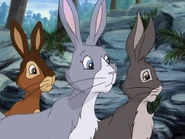 Blackberry (center) with Fiver (left) and Hawkbit (right).