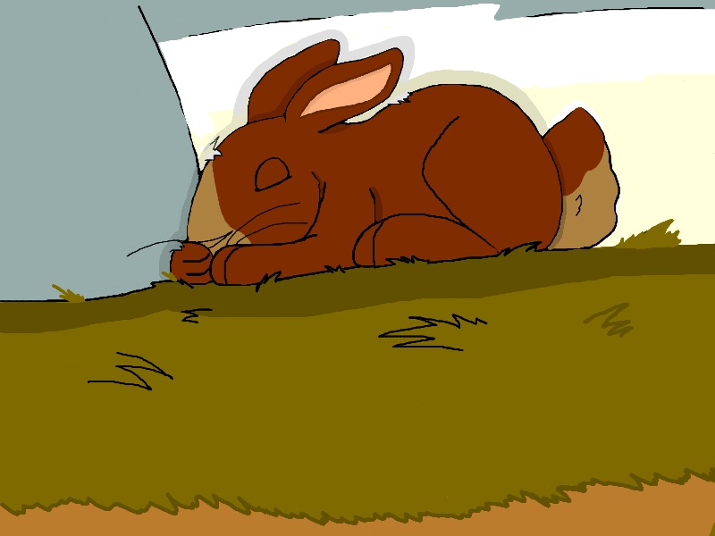 Cardon Watership Down Fanfiction Wiki Fandom