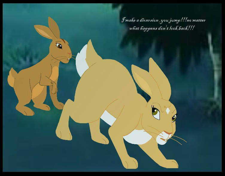 Escape from efrafa pt 2 Watership Down Fanfiction Wiki Fandom