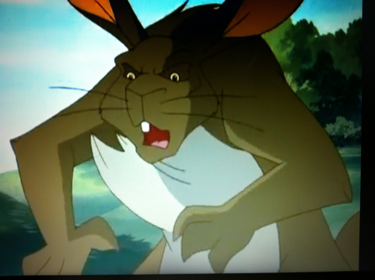 Shale Watership Down Fanfiction Wiki Fandom