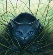 Bluestar