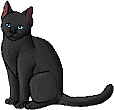 Jayfeather, Warriors theory Wiki