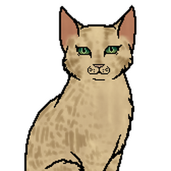 Sandstorm Warriors Theory Wiki Fandom Sandstorm Warriors Theory Wiki Fandom