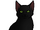 Hollyleaf