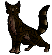 Tigerstar (AVoS), Warriors Wiki