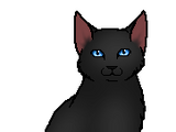 Crowfeather