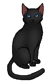 Crowfeather (Warriorcats)