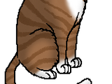 Leafpool