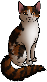 Jayfeather, Warriors theory Wiki