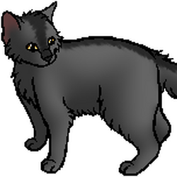 Gray warrior cats sales