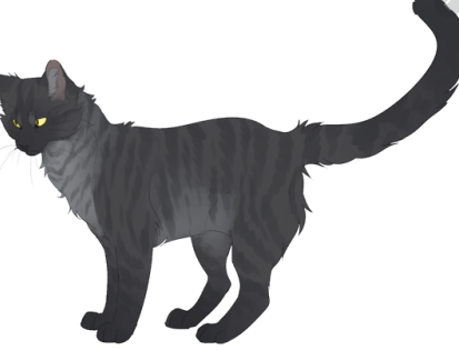 Ashfur (TC), Warriors Wiki