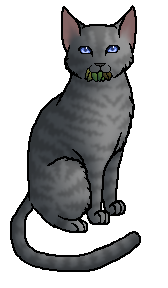 Jayfeather, Warrior Cats Wiki