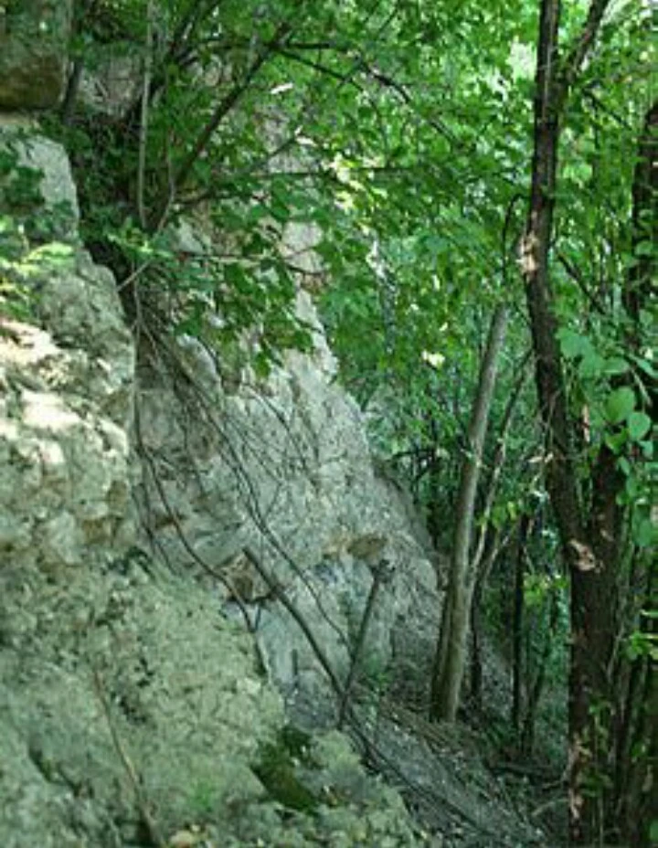 Schoonmaker Reef Wauwatosa Wiki Fandom