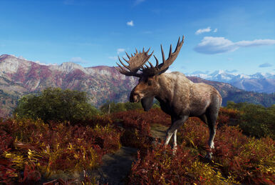 The hunter call of the wild season best sale pass