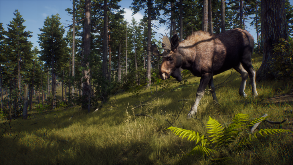 Moose, TheHunter: Call of the Wild Wiki