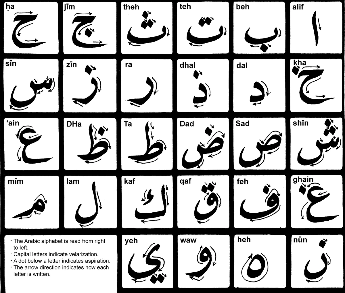 Arabic visual data 8