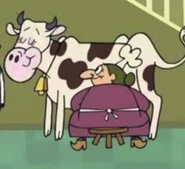 Mush cow