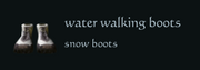 Water Walking Boots