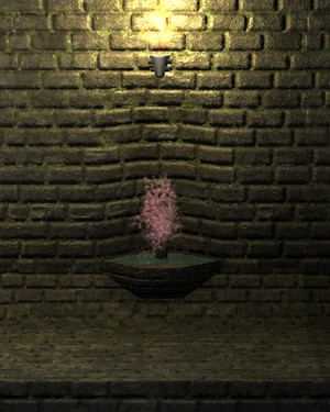 The health fountain when interacted with, will turn into a red coloured water fountain.