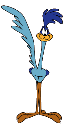 Road Runner Wb Animated Universe Wiki Fandom Road Runner Wb Animated Universe Wiki Fandom