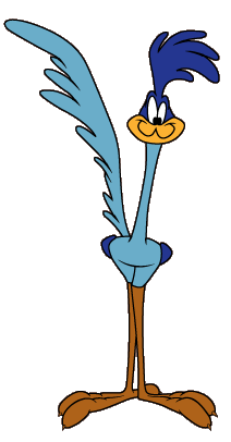 Road Runner, WB Animated Universe Wiki