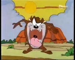 Tasmanian Devil | WB Animated Universe Wiki | Fandom Tasmanian Devil | WB Animated Universe Wiki | Fandom