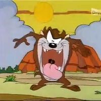 Tasmanian Devil Wb Animated Universe Wiki Fandom The tasmanian devil is a looney tunes character and carnivorous predator. tasmanian devil wb animated universe