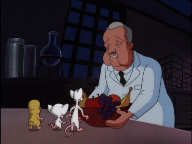 Pinky Giving Brain