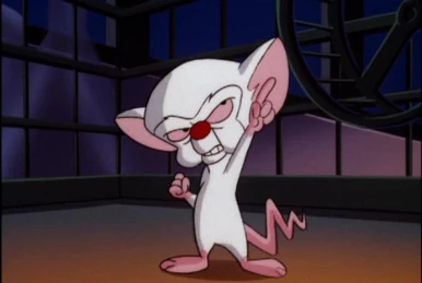 Figurine Pinky Et Le Cerveau – Warner Bros – Année 1995 – Très Bon état