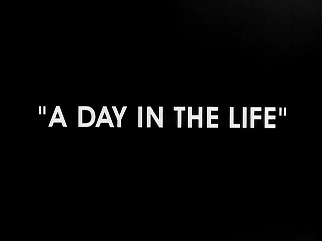 A Day In The Life Wb Animated Universe Wiki Fandom A Day In The Life Wb Animated Universe Wiki Fandom