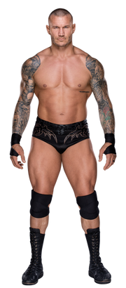 Randy Orton stat--2f86651c46695b8b2ed548e1d2aa93b6