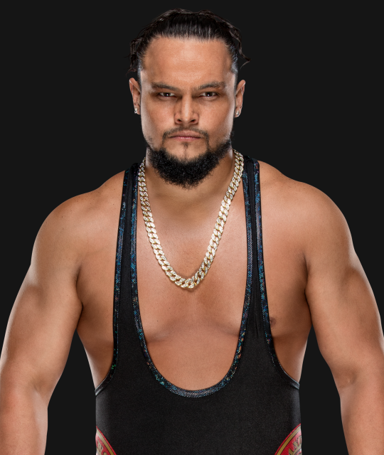 Bo Dallas WDFE Wiki Fandom