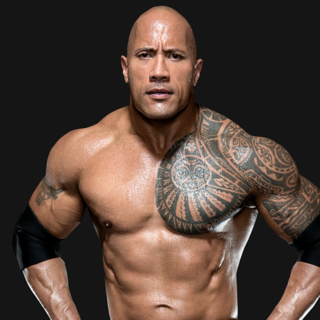 The Rock, Pro Wrestling Wiki