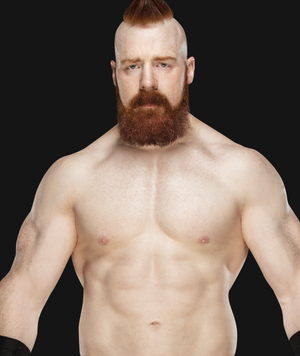 Sheamus pro--5033706134d1e9f10a6c873e961c0f4d