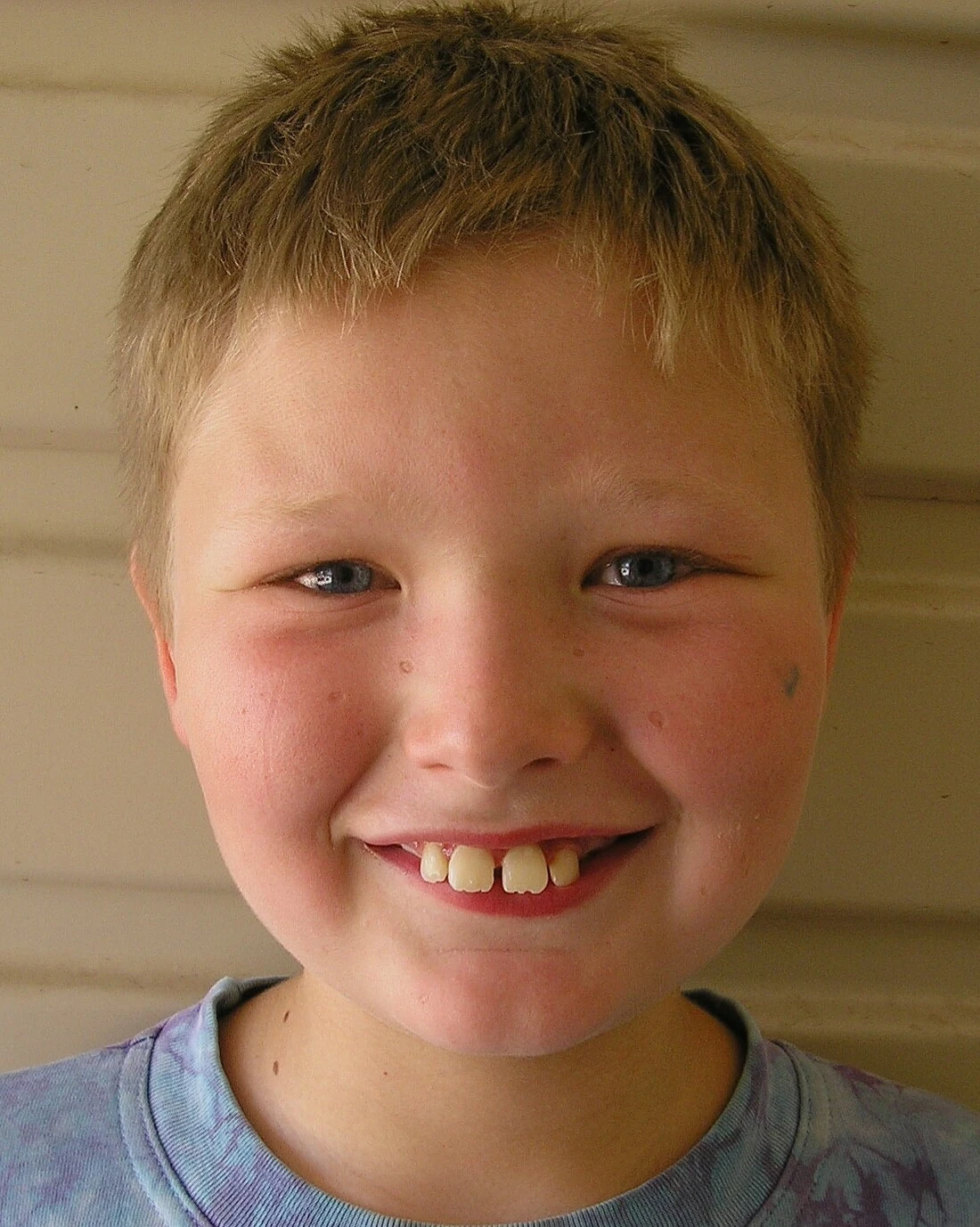 Ben Henwood WDSS Wiki Fandom