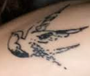 Daniel Seavey - bird tattoo