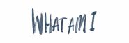 Why Don't We - What Am I Twitter Header - 2