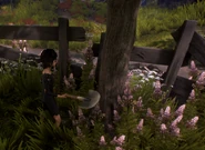 A Wastrellette using a shovel on a tree.