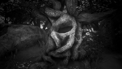UpATreeBW