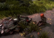 A Wastrellette crying.