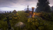RavensholmCamp13.png (3.9 MB)