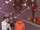 Chapter 227