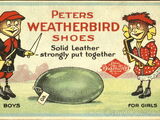 Peters Weatherbird Shoes
