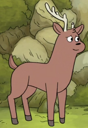Little Buck