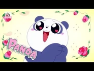 Cartoon Network - We Baby Bears - New Show Coming Soon Promo