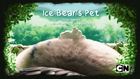 Ice Bear's Pet.png