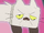 Mr. Meow Meow