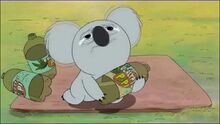 Nom Nom We Bare Bears Wiki Fandom