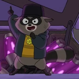 Jojo Raccoon