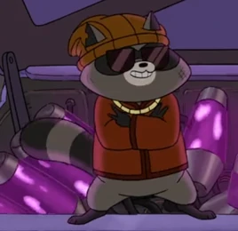 Joey Raccoon